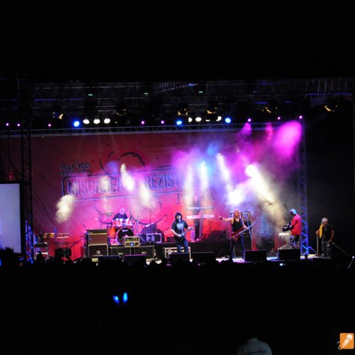 Folk You 2010