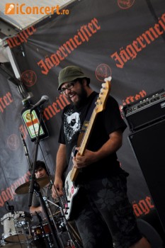 Poze Les Elephants Bizarres