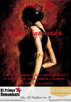 Mica Ţiganiadă