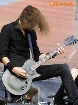 Poze Swallow The Sun