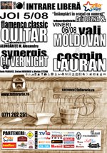 Flamenco Classic Quitar & Synergis Cover Night