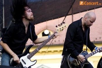 Poze Swallow The Sun