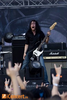 Poze Swallow The Sun