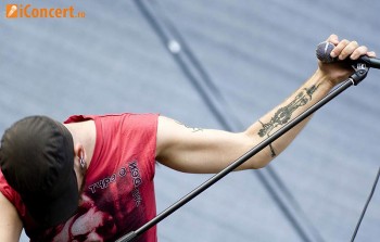 Poze Swallow The Sun