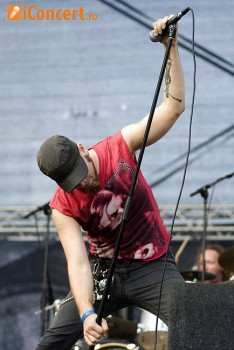 Poze Swallow The Sun