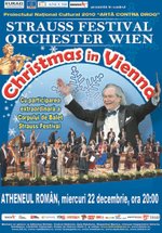 Chrismas In Vienna