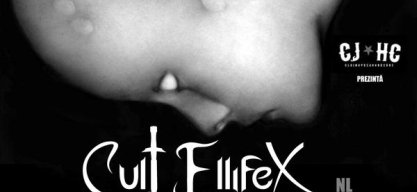 Cult Ellifex