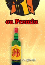 Karaoke în Open Pub