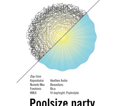 Poolsize Party