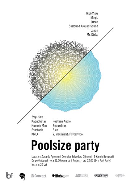 Poolsize Party