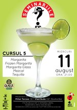 Seminariile CE?