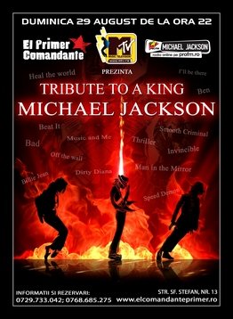 Tribute to a King Michael Jackson