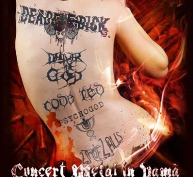 Concert Metal în Vamă