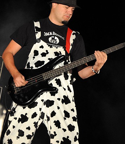Stufstock 2010