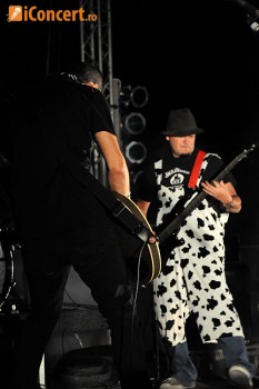 Stufstock 2010