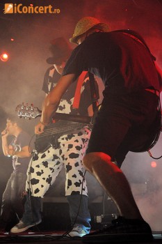 Stufstock 2010