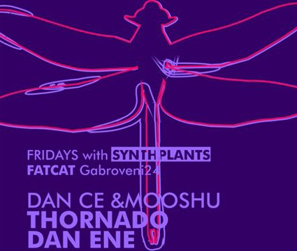 Fridays with Synthplants