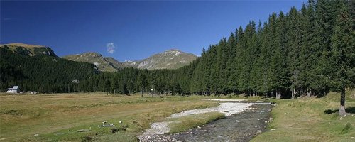 PadinaFest – aventura începe la 1500m