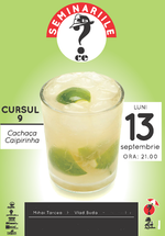 Seminariile CE