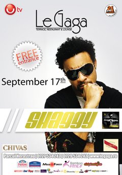 Shaggy