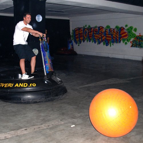 Raliul VIP 2010