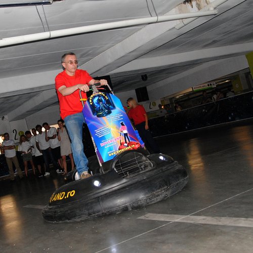 Raliul VIP 2010