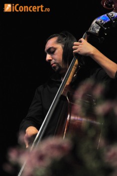 Poze Nopti Albe de Acordeon