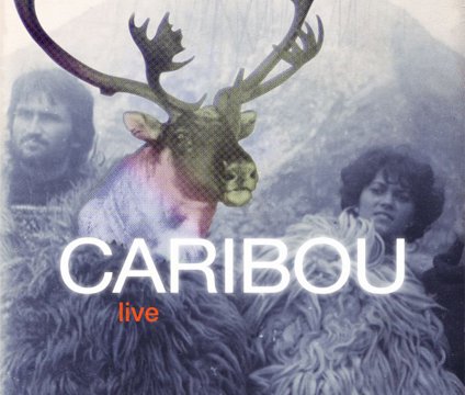 Caribou