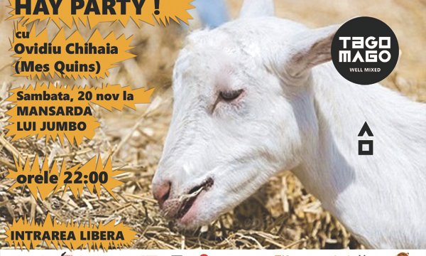 Hay Party
