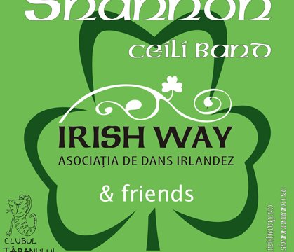 Serile irlandeze