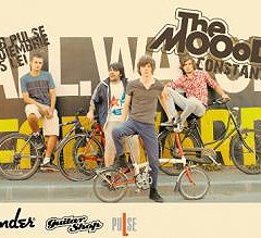 The MOOod
