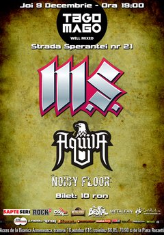 M.S., Aquila & Noisy Floor