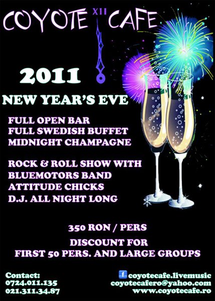 Revelion 2010-2011