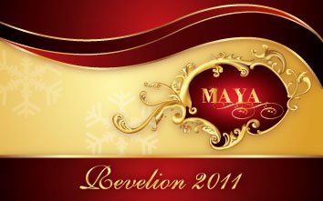 Revelion 2011 (2)