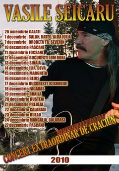 Vasile Seicaru