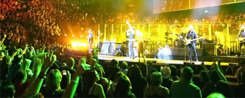 Crowd