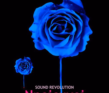 Nnoicuvoi Soundsystem