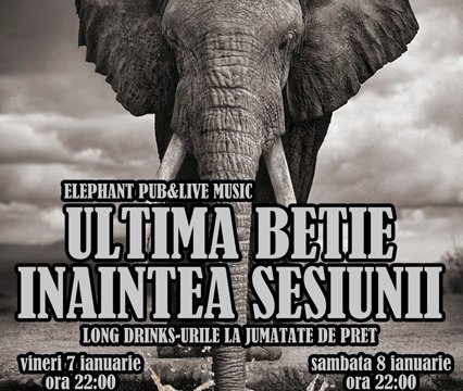 Ultima Betie
