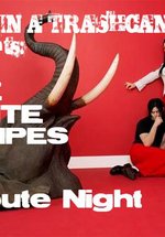 The White Stripes Tribute