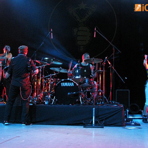 gogol-bordello-13