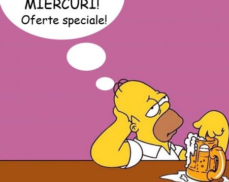 macheta-beer-night-homer-franceza-mic