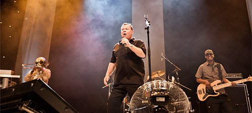 ali-campbell