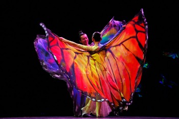 my-dream-bucharest-20