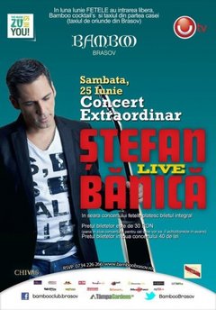 stefan-banica-bamboo