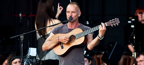 sting1