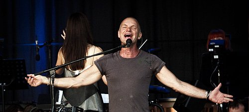 sting2