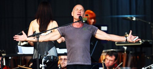 sting4