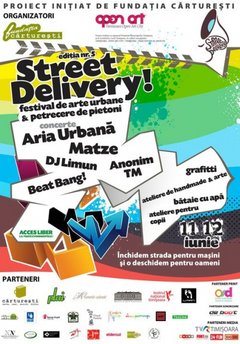 street-delivery-2011-timisoara