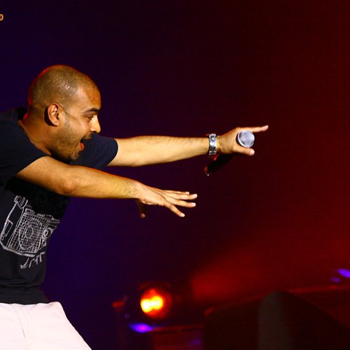 asian-dub-foundation-bestfest-2011-live-concert-10