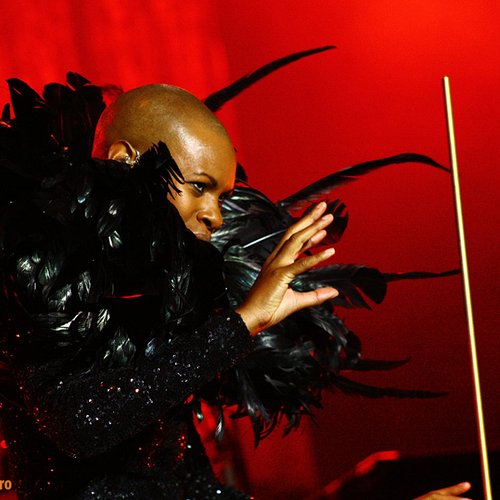 skunk-anansie-bestfest-2011-10